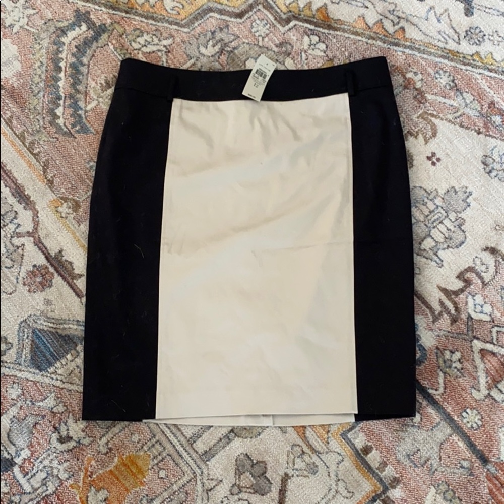 Ann Taylor Pencil Skirt